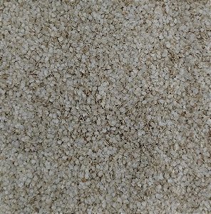 QUINOA EM FLOCOS 100G