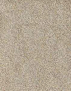 QUINOA EM GRÃOS 100G