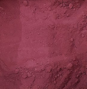 BETERRABA EM PO 100G