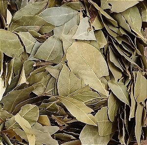 LOURO FOLHA 100G