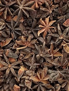 ANIS ESTRELADO 100G