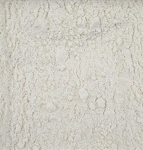 WHEY PROTEIN CONCENTRADO 100% PURO 100G