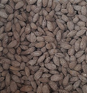 AMENDOA TORRADA E SALGADA 100G