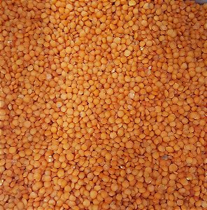 LENTILHA VERMELHA 100G