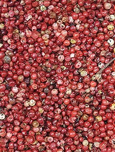 PIMENTA ROSA 100G