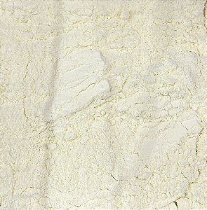 LEITE EM PO INTEGRAL - 100G
