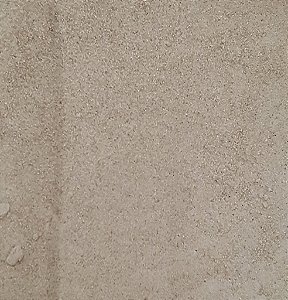 LEVEDO DE CERVEJA EM PÓ 100G