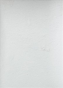 AÇUCAR DE MAÇA - 100G