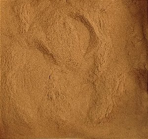 CANELA EM PÓ PREMIUM 100G