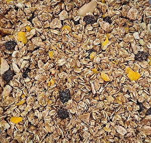 GRANOLA TRADICIONAL KOBBER - 100G