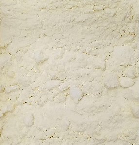 LEITE EM PO INT. ZERO LACTOSE - 100G