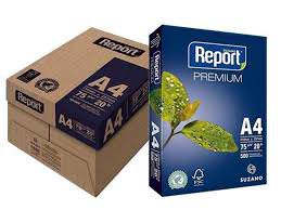 Papel Sulfite 75grs A4 210x297 500 folhas