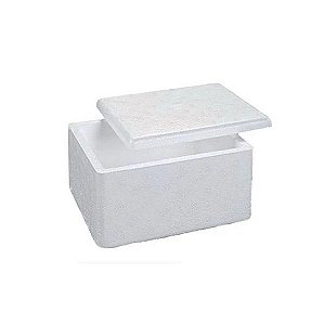 Caixa Conservadora EPS 0.4L (250g)