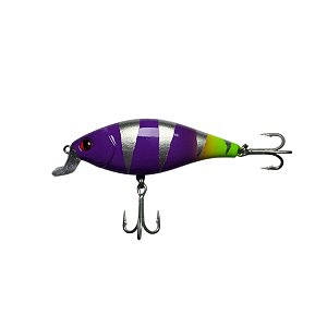 Isca Artificial Lure21 Shadinha 8cm/14,5g Cor 67
