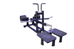 Belt Squat Axis