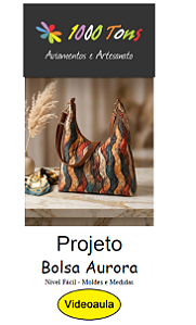 PROJETO BOLSA AURORA + VIDEO AULA NO FACEBOOK