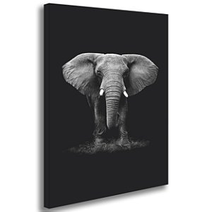 Quadro decorativo Elefante - 60cm x 85cm