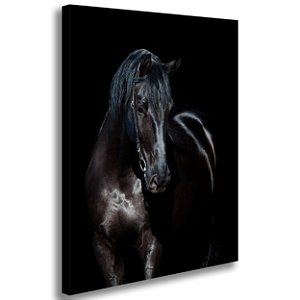 Quadro decorativo Cavalo Negro - 60cm x 85cm