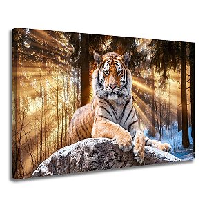 Quadro decorativo Tigre - 60cm x 85cm