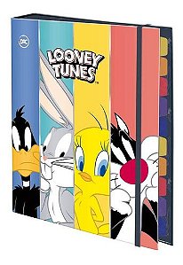 Fichário Colegial Looney Tunes Warner Bros 48 Fls Decoradas