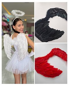 Asa de Anjo
