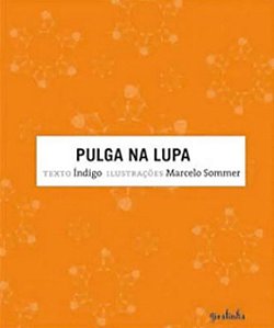 PULGA NA LUPA