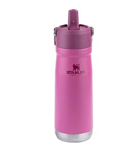 Stanley Garrafa Térmica Flip Straw - 651ML