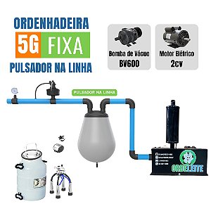 ORDENHA 5G BV600 2 CONJUNTOS PULSADOR NA LINHA, DEPOSITO AEREO, REGULADOR SERVO ASSISTIDO