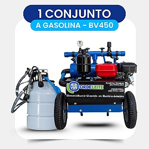 ORDENHADEIRA CARRELO BV450 1 CONJUNTO MOTOR A GASOLINA