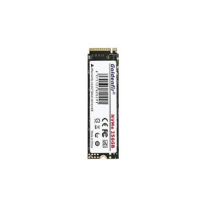 SSD M2 NVM 256GB GOLDENFIR