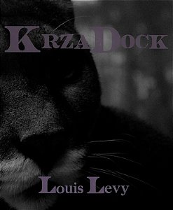 Kzradock - Louis Levy