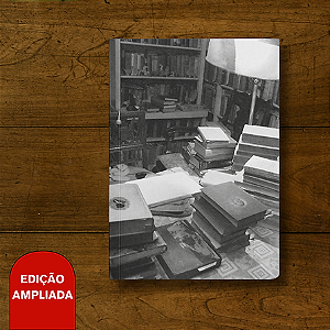 A BIBLIOTECA INFINITA DE S. EISENSTEIN - Neide Jallageas e Erivoneide Barros (org)