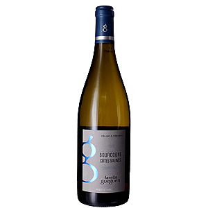 Bourgogne Chardonnay Côtes Salines Domaine Gueguen 2023