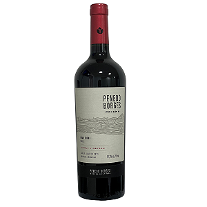 Penedo Borges Prisma Gran Syrah 2022