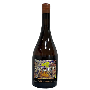 Maturana Wines Ascención Chardonnay 2023