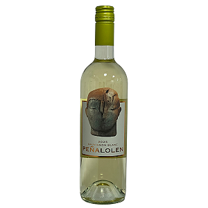 Peñalolen Sauvignon Blanc 2025