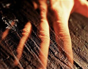 Mão
