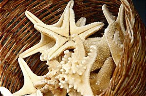 Estrelas Santorini Grécia