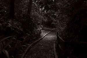Caminho