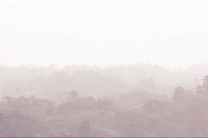 Brumas São Paulo