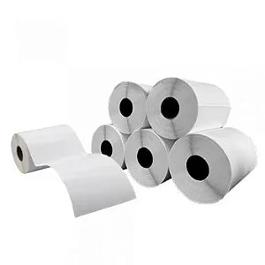 Cx 5 Un Rolos Etiqueta 100X200mm Bopp Adesiva 153UN (31M) Tub 1"