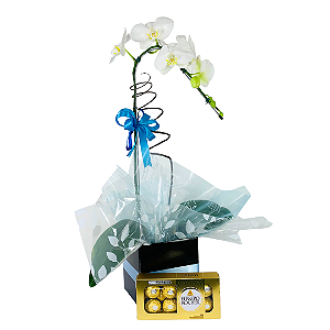 Orquídea Branc com Ferrero Rocher 8 unidades