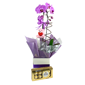 Orquídea Lilás 1 Haste com Pelucia e Ferrero rocher