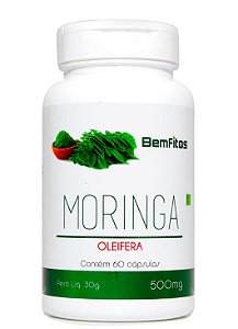 Moringa Oleifera - 60 Capsulas (500mg) - BemFitos