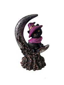Gato na Lua