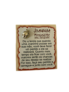 Amuleto Joaninha Carteira