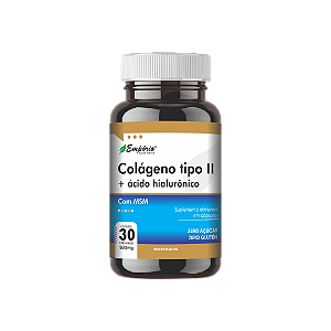 Colágeno Tipo ll + Ácido Hialurônico com MSM - 500mg 30 cápsulas