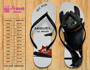 Chinelo Personalizado Aniversário Como Treinar Seu Dragão