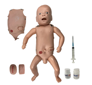 Manequim Bebê, Bissexual, com Órgãos Internos, Simulador para Treino de Enfermagem