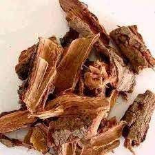 CHA CAJUEIRO CASCA DESIDRATADA 100G ANACARDIUM OCCIDENTALE